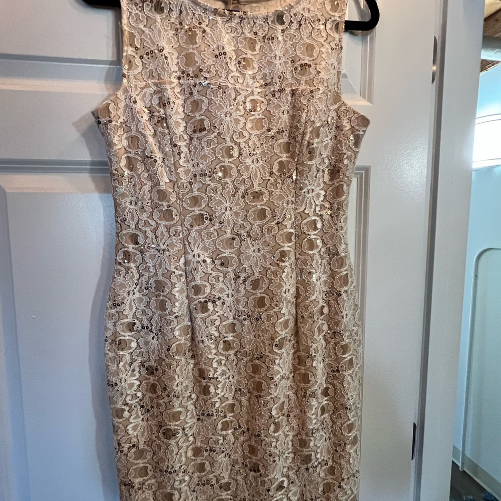 Scarlett Nude Lace Midi Dress